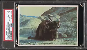 1977 Star Wars Topps/Yamakatsu Large : PSA 8 NM-MT : Hunted by Sand People - Bild 1 von 2
