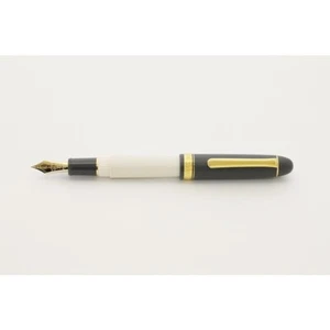 Platinum 3776 Century Nagasawa 14K Fountain Pen Gray Ivory Nib NEW Japan - Picture 1 of 5