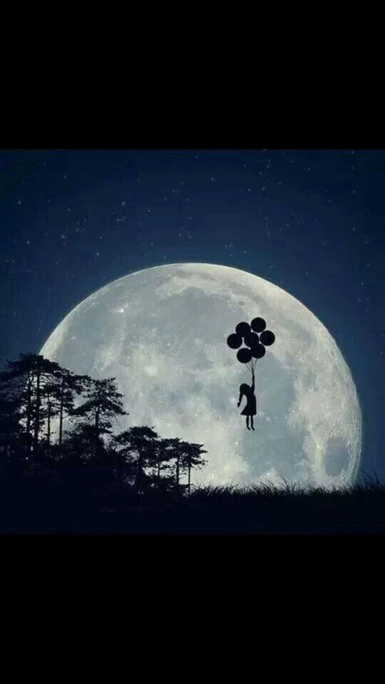 Sweet Dreams Fragrance Oil #251 - Image 1 of 1