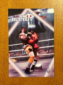 Hangman Vs Swerve All Out 2024 Magnet All Elite Crate Exclusive AEW - Bild 1 von 1
