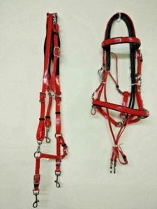 Halter para bridas de PVC bio delgado con placa de pecho doma inglesa de alta calidad  - Imagen 1 de 8