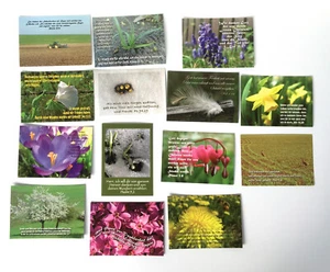 14 Stück christliche Foto-Postkarten, Bibelsprüche, Paket 2 Frühling und Ostern - Bild 1 von 1
