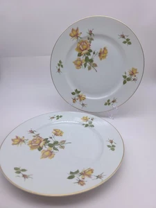 Vintage Set of 2 Rosenthal Germany Aida Dinner Plates - Picture 1 of 8