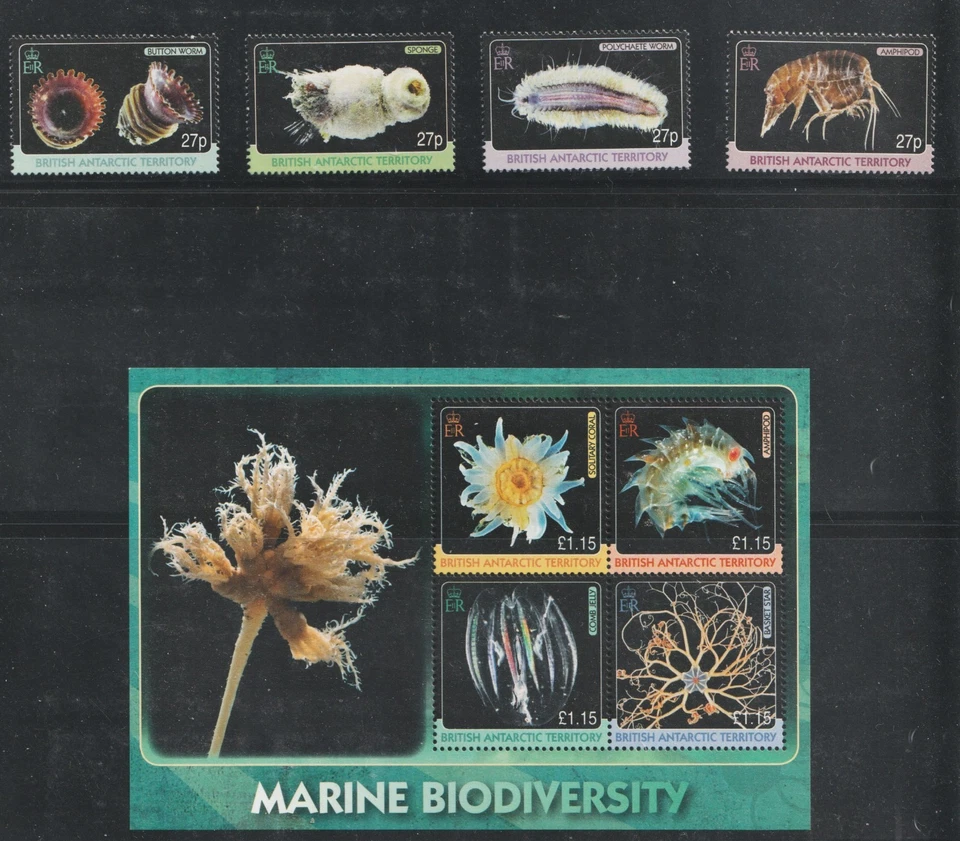 2010 BAT British Antarctic Territory Sc# 418-22 - Marine Life. MNH Cv$22 - Image 1 of 1