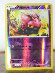 Venipede - Set base XY - singoli - 51/146 - Pokemon TCG - Reverse Holo - Foto 1 di 11