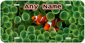 Clown Fisch Quallen beliebiger Name personalisierte Neuheit Auto Nummernschild - Bild 1 von 6