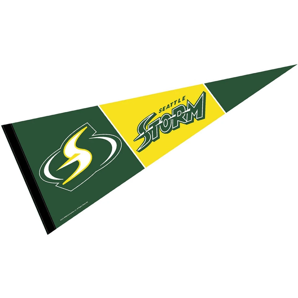 2004 Seattle Storm Champions Pennant Banner