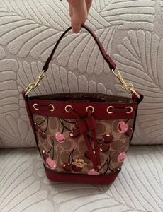 Coach, Authentic,Cherry Bucket Strap Bag/Brand New/Perfect Condition RRP£280 - Picture 1 of 4