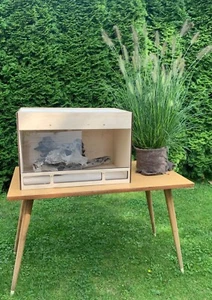 Terra Box | Terrarium | 60*30*30 - Bild 1 von 7