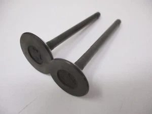 Briggs & Stratton 820403 & 820404 Daihatsu DM950D Intake Exhaust Valves Diesel - Picture 1 of 2