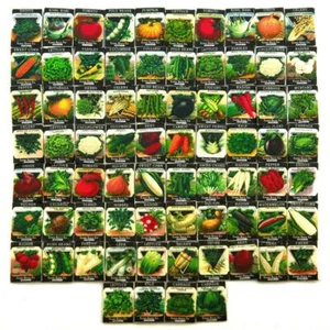 Set of 74 Dolls House Miniature Seed Packets (SPMS) - Picture 1 of 3