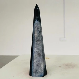 246g Natural Black Striped Agate Quartz Crystal Tower Mineral Healing F598 - Bild 1 von 14