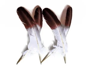 6 Piezas - Pluma Ala Secundaria Águila Imitación Punta Marrón Pavo Tom Rondas - Imagen 1 de 6