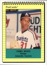 1991 Asheville Tourists ProCards #565 Fionel Nieves