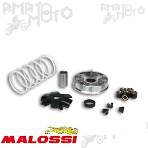 VARIATORE MALOSSI MULTIVAR SCOOTER 519988 PER KYMCO AGILITY R16 - Imagen 1 de 1