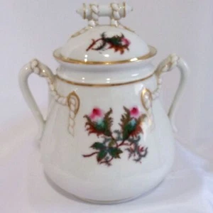 Rare Vintage French Biscuit Jar Haviland Limoges China Moss Rose Pattern - Picture 1 of 4
