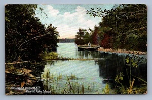 Postcard Vtg New York Thousand Islands Ashe Island Nature - Picture 1 of 2