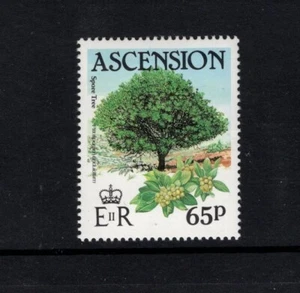 Ascensión 1985 65p árbol de esporas Pittosporian Undulatum MNH SG 375 - Imagen 1 de 1