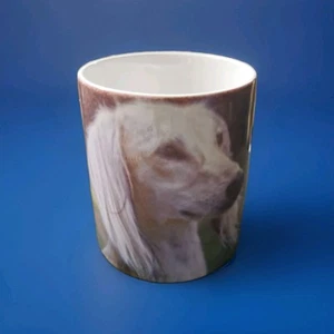 Mug Of A Saluki Dogs Face On A Green Background - Picture 1 of 2