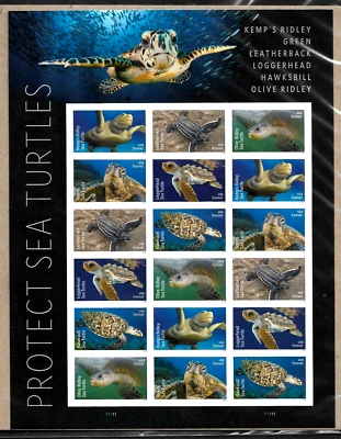 PROTECT SEA TURTLES US #5865-5870 NATURE 2024  XF 18 FOREVER STAMPS SEALED SHEET - Image 1 of 3