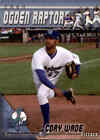2004 Ogden Raptors Team Issue 38 Cory Wade Indianapolis Indiana IN Baseball Card