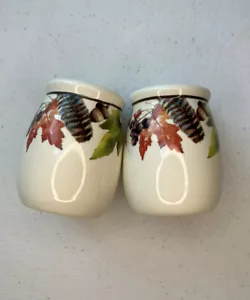 Better Homes & Gardens Botanical Autumn Pumpkin Salt & Pepper Shakers - Picture 1 of 6