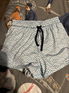 James & Lottie 4t Boys Swim Trunks - Picture 1 of 1