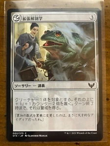 MTG Expanded Anatomy Strixhaven: School of Mages (STX) Japanese Magic #002/275 - Picture 1 of 1