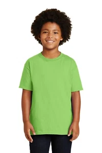 2 T-SHIRTS - GILDEN BOYS 100% HEAVY COTTON T-SHIRTS-LIME GREEN- SIZE YOUTH LARGE - Picture 1 of 1