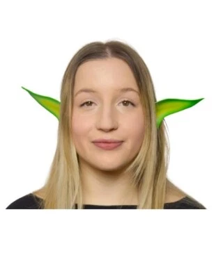 Pixie Fairy Flexi Ears - Green/Lime Wing - Costume Accessory - One Size - Image 1 of 2