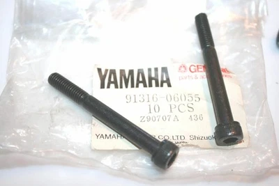1977-1983 Yamaha IT250 IT400 Grizzly Allen Head Bolt 6x55 91317-06055 QTY 2 - Image 1 of 4