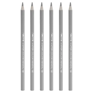 6Pcs Watercolor Pencil for Coloring, Drawing, Painting, Silver - Picture 1 of 7