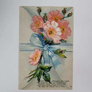Wild Rose Flower Blossom Vintage Postcard Divided Back Posted 1c Stamp c1909 - Picture 1 of 6