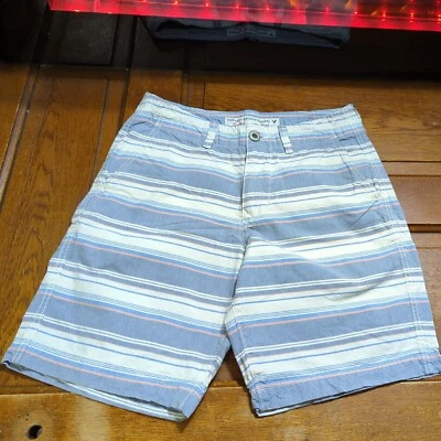 American Eagle Men's Classic Length Plaid Shorts Tag Size 30  — 第 1/4 张图片