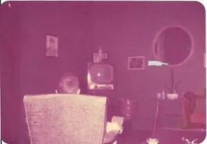 vtg color photo 1960 boy back to camera watch Laurel and Hardy on tv television - Picture 1 of 1