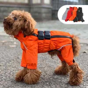 Chaqueta Impermeable Perros, Chaqueta Impermeable Ligera Reflectante Seguridad - Imagen 1 de 5