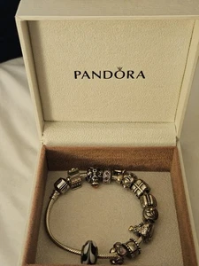 Pandora Sterling Silver Charm Bracelet - Picture 1 of 9