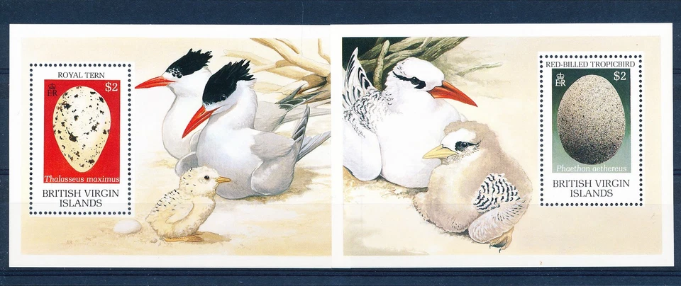 LS62198 British Virgin Islands eggs birds sheets MNH - Image 1 of 1