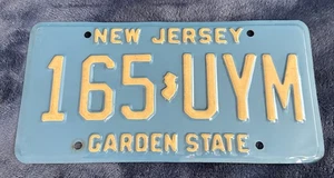 Nice NJ New Jersey The Garden State Blu Giallo Targa # 165 - UYM - Foto 1 di 6