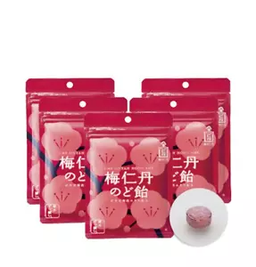 Morishita Jintan Plum Bonbons (5 Beutel Set) / 60g (ca. 17 Körner) × 5 Beutel - Bild 1 von 4