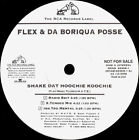 Flex & Da Boriqua Posse - Shake Dat Hoochie Koochie (12", Maxi, Promo)