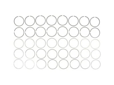 Chasis personalizado Workhorse 2004-2005 P42 anillo de pistón Hastings 11295QZXK Foto 1 de 2