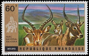 Ruanda 452 (Mi495) - Akagera Nationalpark "Waterbuck" (pa48731) - Bild 1 von 1