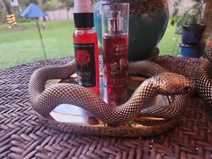 Bandeja Espejo Serpiente Bobina Halloween Bath & Body Works Nueva - Imagen 1 de 2