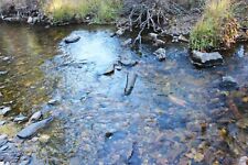 Wyoming Gold Placer Mine North Mullen Creek WY Mining Claim Creek Panning Sluice