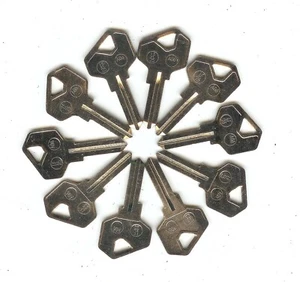LF25 x 10 Silver Color Key Blank - Picture 1 of 1