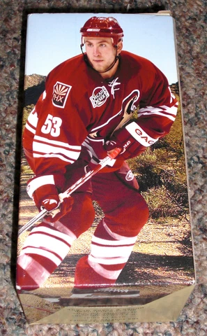2007 Derek Morris Phoenix Coyotes Bobblehead SGA Cover