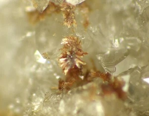 SCHNEEBERGIT aus Schneeberg, Germany * TYP LOKALITÄT EXEMPLAR * 1,1 cm - Bild 1 von 5