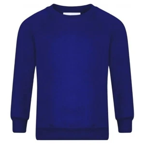 Boys Girls Royal Blue Crew Neck School Jumper Sweatshirt - Picture 1 of 1