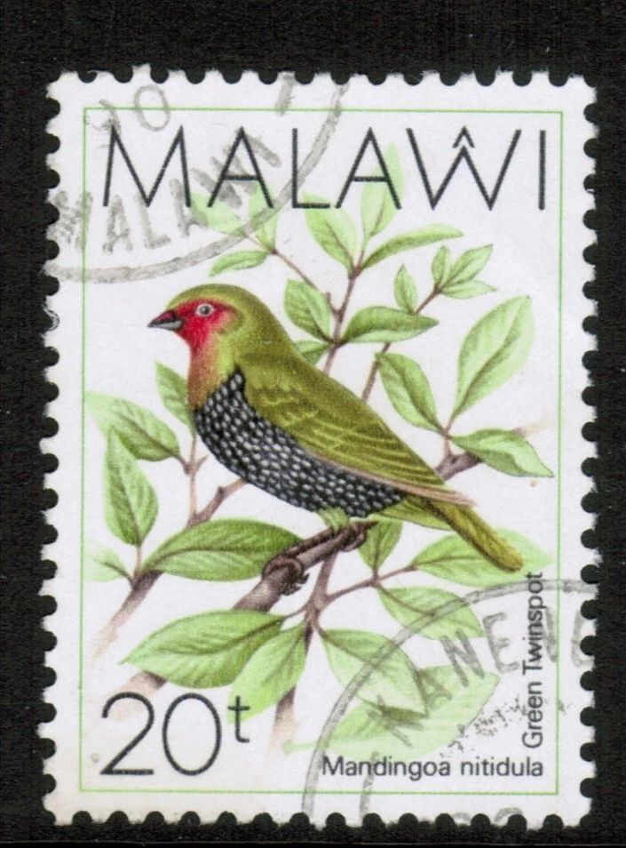 Malawi  1988 SG796 20t Green-backed Twin-spot Birds Used - Image 1 of 1